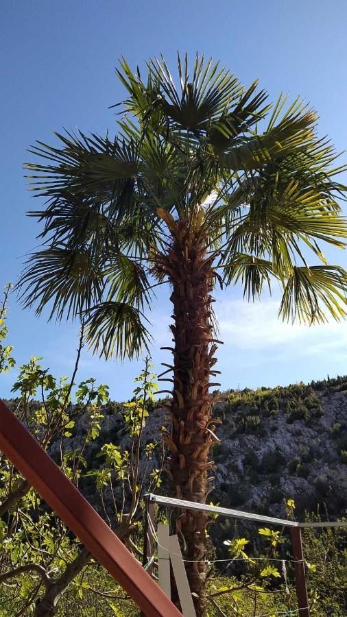 Apartman Maida Blagaj Exteriör bild