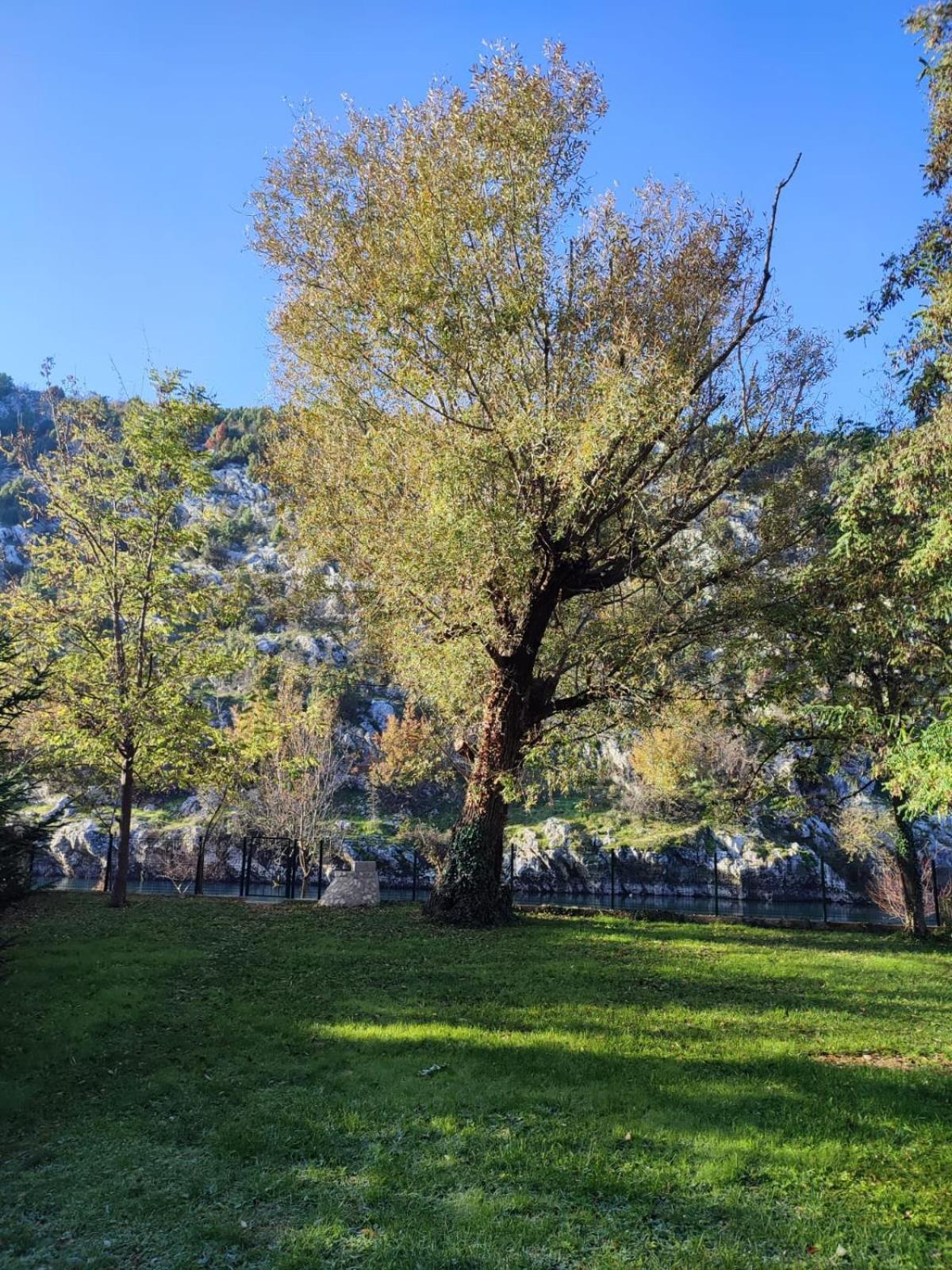 Apartman Maida Blagaj Exteriör bild